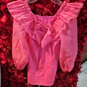 Girls NWT Pink Mesh Ruffled Dress with Sheer Sleeves Size 9 years